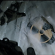 Image for article titled Who are the other monsters in the new Godzilla trailer?
